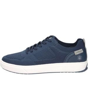 Lumberjack Baskets 102268877 - Bleu