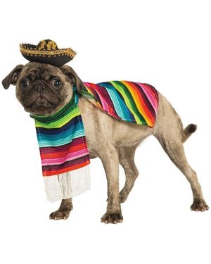 Bristol Novelty Chapeau S BN4966 - Multicolore
