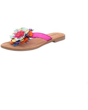 Haflinger Tongs - Rose