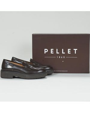 Pellet Scarpe Tamia - Marrone