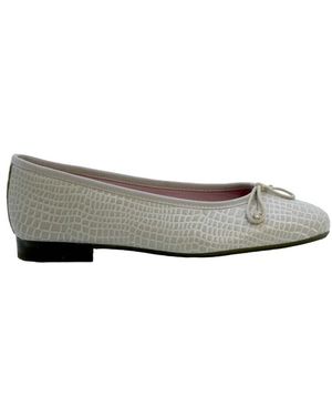 Callaghan Ballerines 18211 - Gris