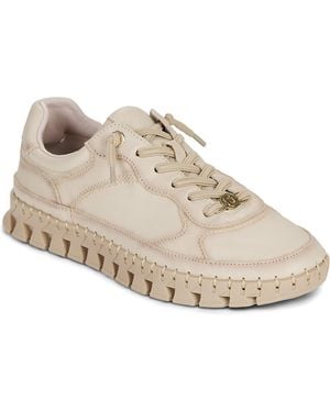 Carmela Sneakers Basse 164218 - Neutro