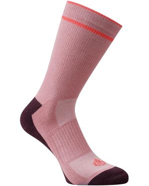 Dare 2b Chaussettes RG12286 - Rose