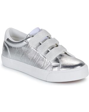 Kaporal Sneakers Basse Tippyk - Grigio