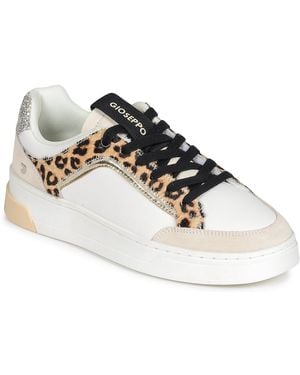 Gioseppo Sneakers Basse Morrice - Multicolore