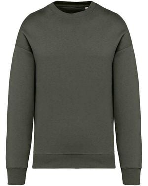 NATIVE SPIRIT Sweat-shirt PC5152 - Gris