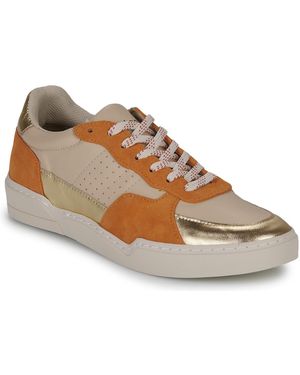 Fericelli Sneakers Basse Dame - Marrone