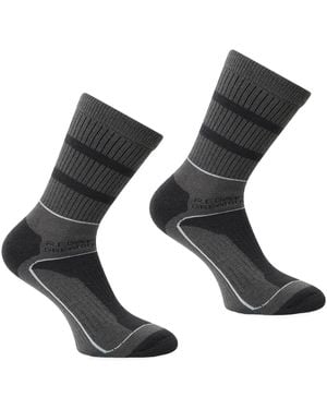 Regatta Chaussettes Aris 3 Season - Gris