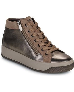 Igi&co Turnschuhe D.Ava - Braun