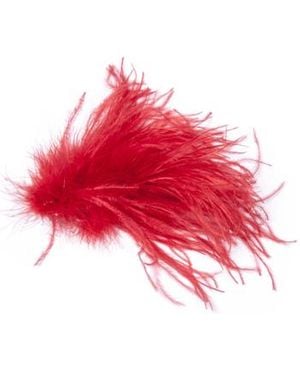 Alysi Broches SPILLA PIUME - Rouge