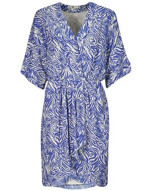 Freeman T.porter Lange Jurk Roza Zebrure - Blauw
