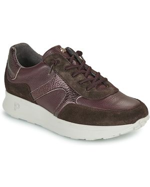 Pitillos Sneakers Basse 11603 - Marrone