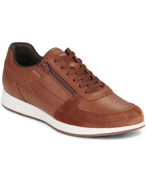 Geox Lage Sneakers U Avery - Bruin