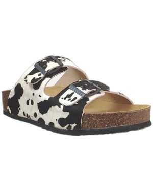 Plakton Mules Cp Beta 2 - Marron