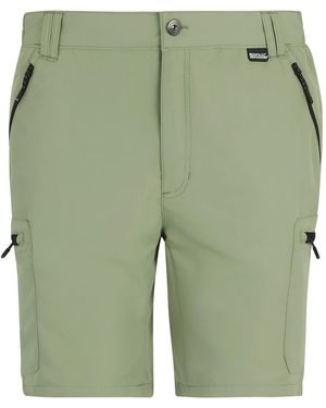 Regatta Short Leesville III - Vert
