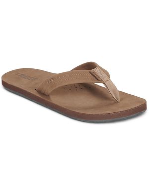 Reef Infradito Draftsmen - Marrone