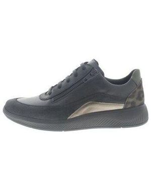 SOLIDUS Sneakers Halea H - Blauw