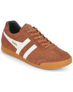 Gola Lage Sneakers Harrier - Bruin