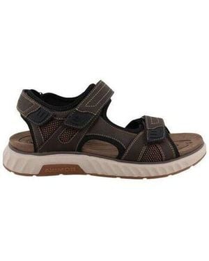 Westland Derbies 74R0071002 - Noir