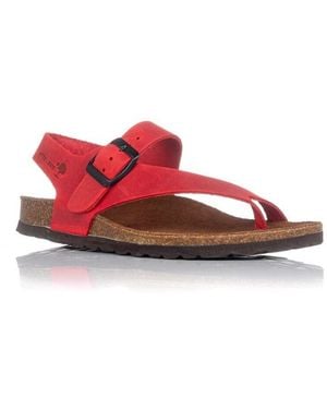 Interbios Sandales plates BASKETS 7162 - Rouge