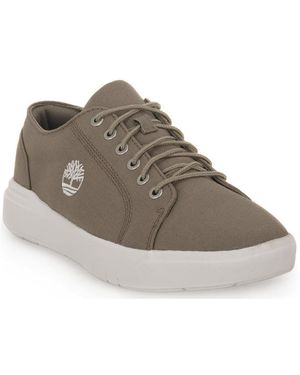Timberland Sneakers Seneca Bay - Grijs