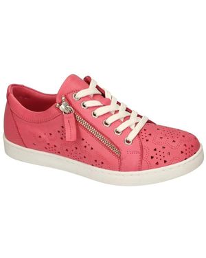 Andrea Conti Baskets Basses 0347107-084 - Rose