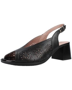 Pitillos Sandales 10533P - Noir