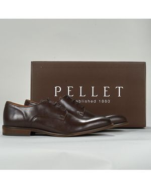 Pellet Nette Schoenen Eraldo - Bruin