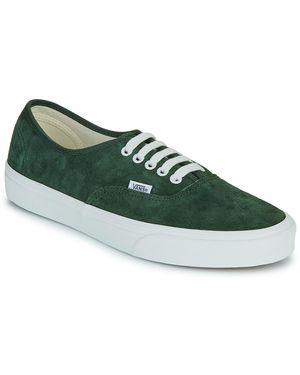 Vans Sneaker Authentic - Grün