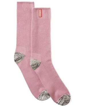 SealSkinz Socquettes Bradenham Chaussettes - Rose