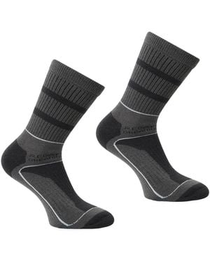 Regatta Chaussettes aris 3 Season - Gris