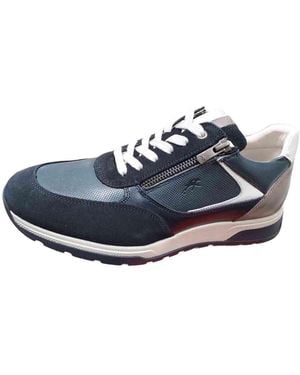 Fluchos Baskets basses 113-F2191 - Bleu