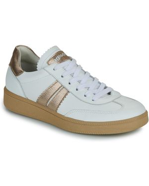 Igi&co Sneakers Basse D.Atala - Blu