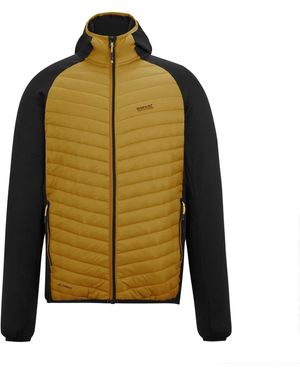 Regatta Vestes techniques Andreson - Vert