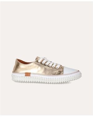 Coco Abricot Baskets Basses Malemort - Blanc
