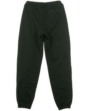 KTZ Jogging Wordmark Jogger - Vert