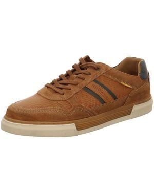 Camel Active Ville basse - Marron