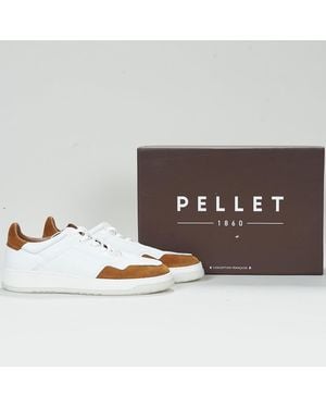Pellet Sneakers Ronny - Metallizzato