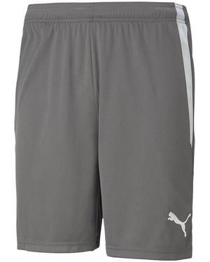 PUMA Pantalon Teamliga - Gris