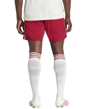 adidas Short Gt61758 - Rouge