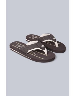 Animal Tongs Jekyl - Gris