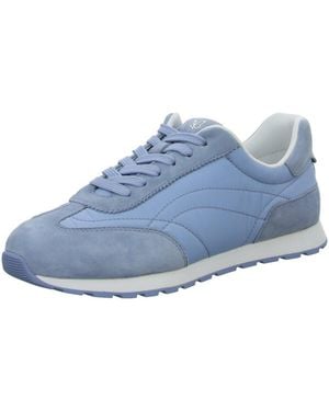 Caprice Baskets Basses - Bleu