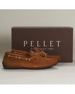 Pellet Herrenschuhe Nere - Braun