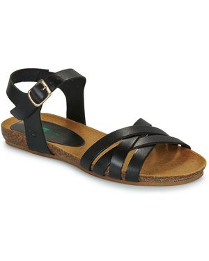 Dream in Green Dream - Schwarz