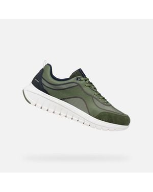 Geox Baskets basses U FLEXTRIDE R - Vert