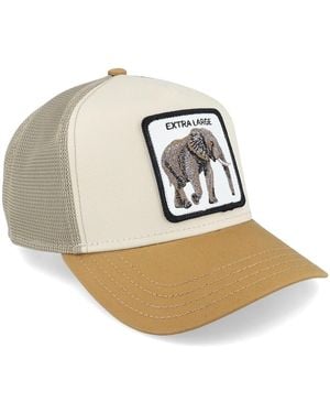 Goorin Bros Casquette - Métallisé