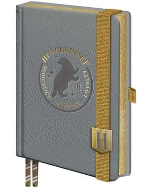 Harry Potter Sac PM13080 - Gris