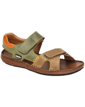 Pikolinos Sandales - Marron
