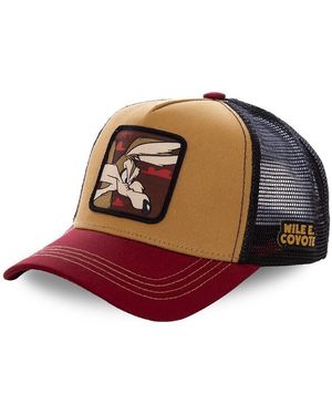 Capslab Casquette Casquette Looney Tunes Coyote Orange - Marron