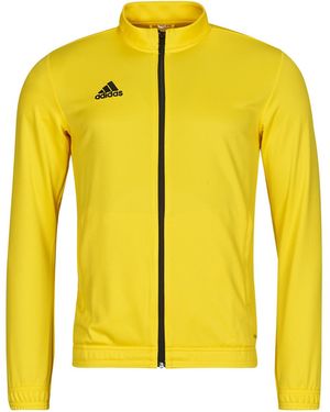 adidas Giacca Sportiva Hi2134 - Giallo